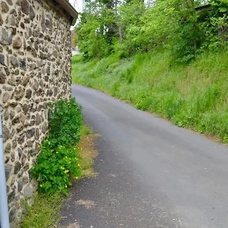 Calme Et Reposant En Pleine Nature Reilhac (Cantal)